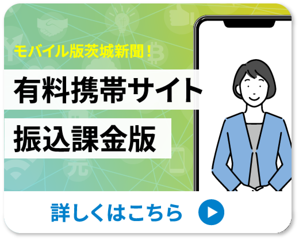 有料携帯サイト振込課金版