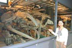 13日から常時公開される自然史標本棟の見学スペース=つくば市天久保の国立科学博物館