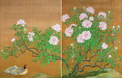 茨城新聞】県五浦美術館 写実と装飾美、花鳥画の世界