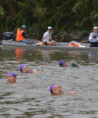 水府流のゆっくりとした横泳ぎで遠泳に挑む参加者たち=水戸市の那珂川