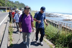 海岸線でノルディックウオーキングを楽しむ参加者たち=ひたちなか市平磯町