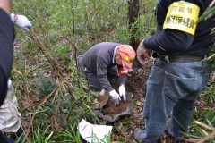 「くくりわな」を仕掛ける隊員の中島久男さんら=那珂市戸崎