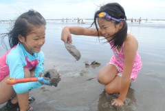 波打ち際で砂遊びをする子どもたち=大洗町の大洗サンビーチ