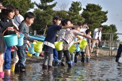 シジミの稚貝を放流する広浦小児童=茨城町下石崎