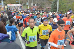 スタート直後の坂を駆け上がるハーフマラソンのランナーたち=笠間市笠間