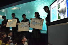 サメの水槽の前で発表する生徒たち=大洗町磯浜町
