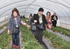 茨城新聞 鉾田の自然や食を堪能 千葉から日帰りバスツアー