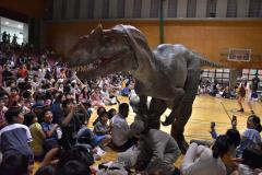 リアルな恐竜を目の前で体感した恐竜ショー=水戸市小吹町