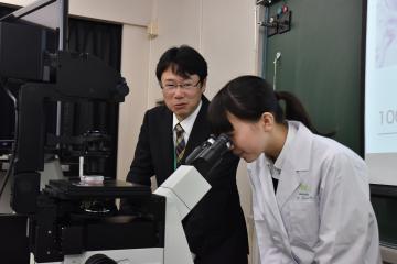 茨城大の石原研治教授(左)の指導の下、光学顕微鏡でiPS細胞を見る生徒=水戸市笠原町の県立緑岡高