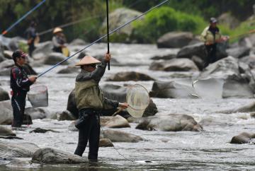 解禁され、アユ釣りを楽しむ釣り人たち=大子町下野宮の久慈川