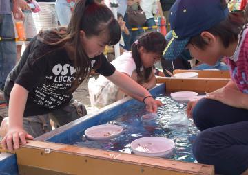 金魚すくいの腕を競う参加者たち=行方市玉造甲