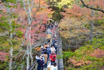 高萩 花貫渓谷 色づくモミジやクヌギ 茨城新聞