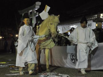 白馬祭でハンカチなどを踏みながら境内を回る神馬=7日午後6時35分ごろ、鹿嶋市宮中