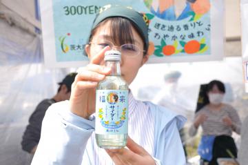 茨大炭酸部が開発した「福来サイダー」=阿見町阿見