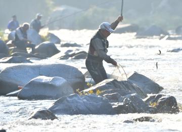 茨城新聞 アユ釣り解禁 久慈川で 友釣り