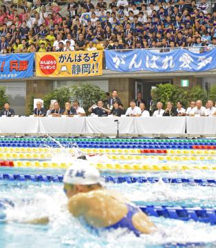 観客席からは県勢の選手に大きな声援が送られた=山新スイミングアリーナ、吉田雅宏撮影