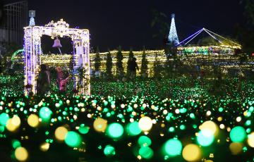 約110万個の電球で彩られた県フラワーパーク=石岡市下青柳、鹿嶋栄寿撮影