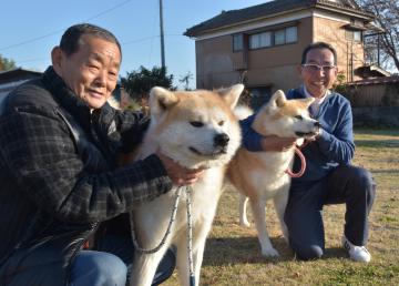 茨城新聞 秋田犬保存会本部展 県勢2頭が日本一 飼い主ら 魅力広めたい