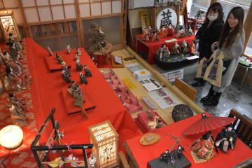 真壁のひなまつり会場の川島書店に展示されたひな人形を鑑賞する観光客=桜川市真壁町真壁