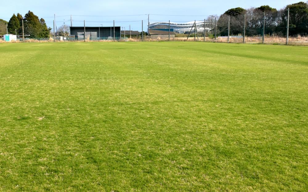 無料開放される天然芝のサッカーグラウンド=鹿嶋市清水