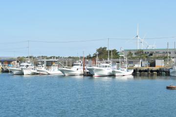 港に多くの遊漁船が泊まっている鹿島灘漁港=27日、鹿嶋市平井