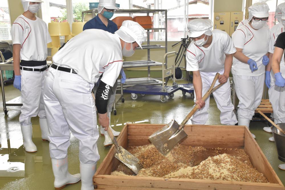 蒸した大豆とこうじなどをスコップでかき混ぜる工程に挑んだ生徒たち=桜川市真壁町飯塚