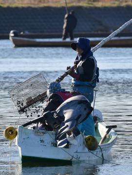 茨城新聞 厳寒 シジミ漁シーズン到来 涸沼