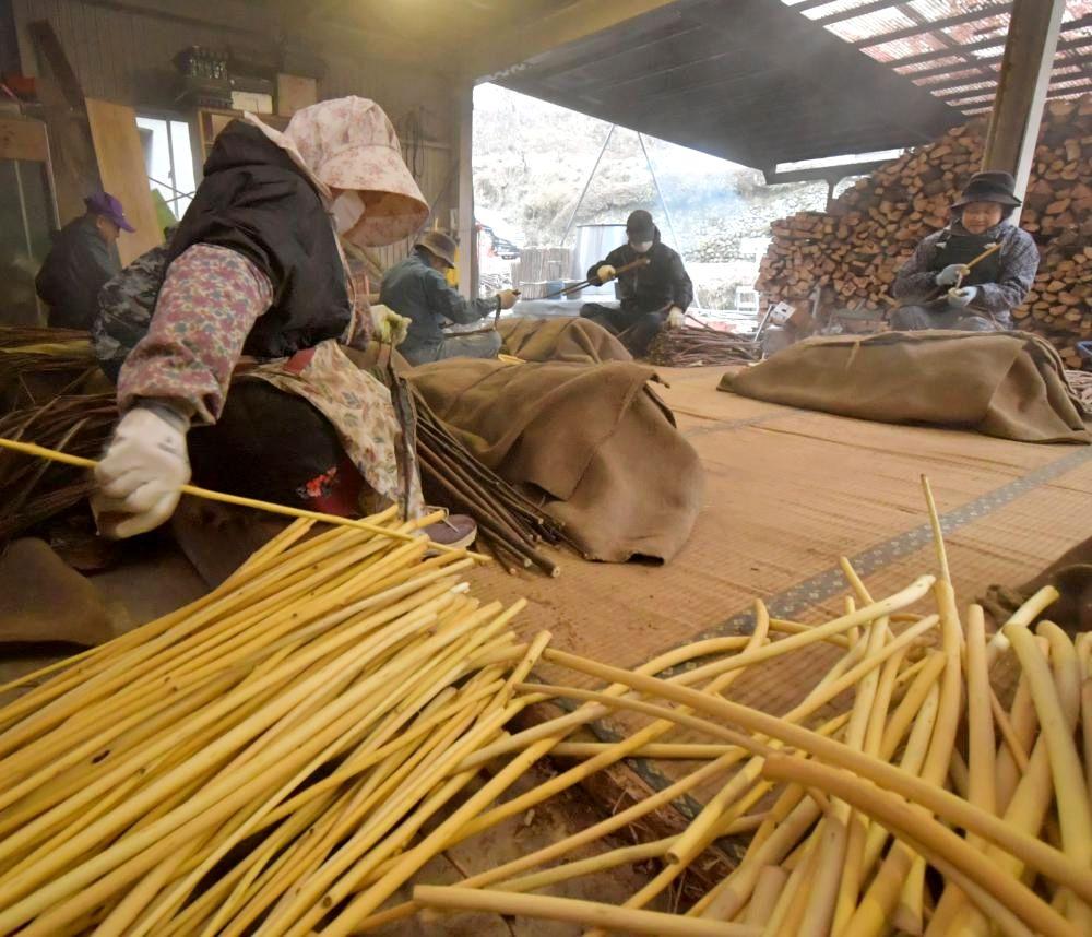 蒸したコウゾの皮を一つ一つ手でむく生産農家=13日午前7時12分、大子町大沢、鹿嶋栄寿撮影