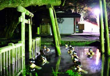 茨城新聞 鹿島神宮で 大寒みそぎ 神職 コロナ収束祈る
