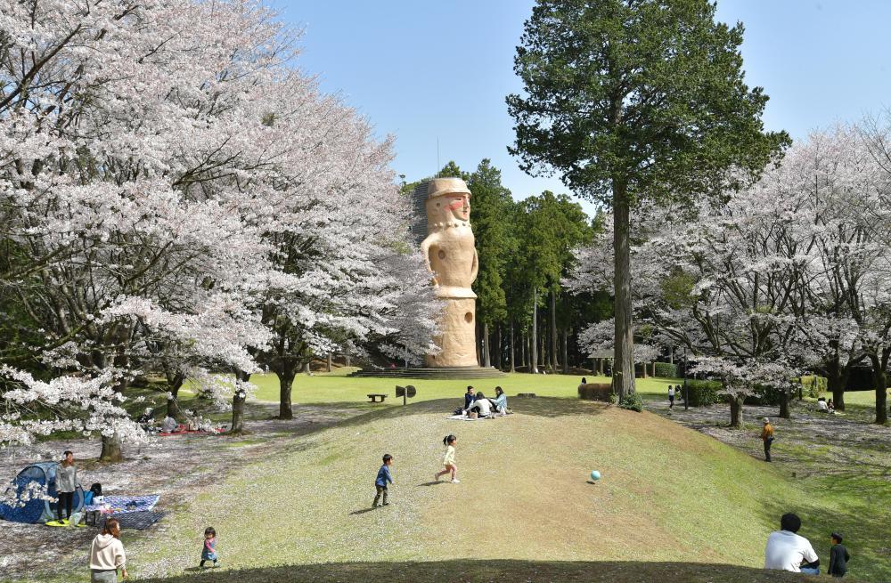 巨大埴輪を囲むように咲く、くれふしの里古墳公園の桜=31日午後、水戸市牛伏町