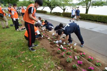 茨城新聞 水戸 Ntt東社員と高校生 植栽に汗