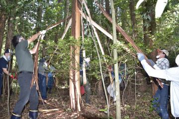 参加者が木を囲むようにして樹皮を持ち、息を合わせて引っ張りあげて剥がした=常陸太田市西河内中町