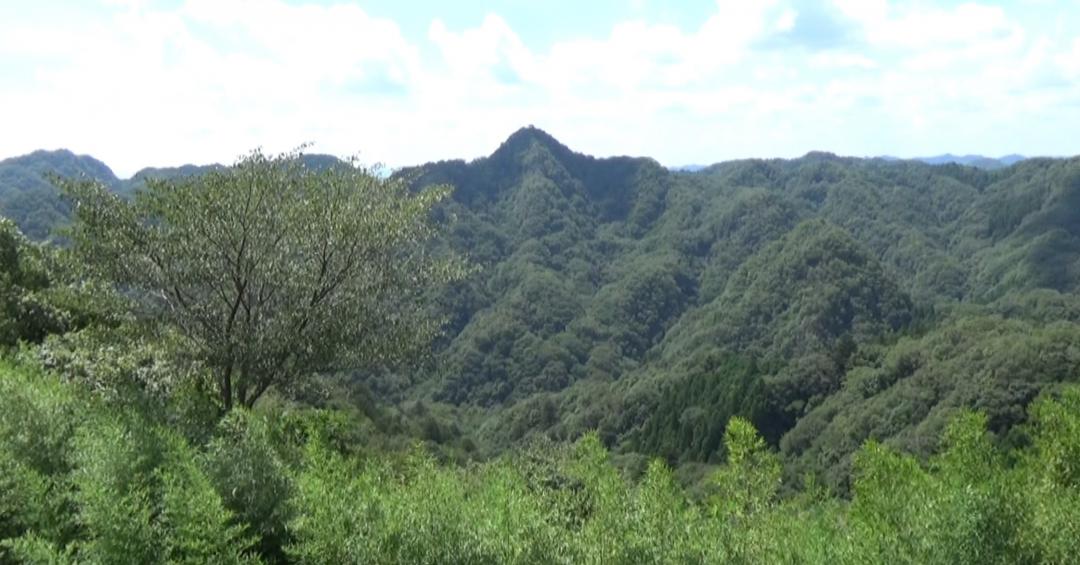 武生神社近くの宝剣洞展望台から正面に望む明山