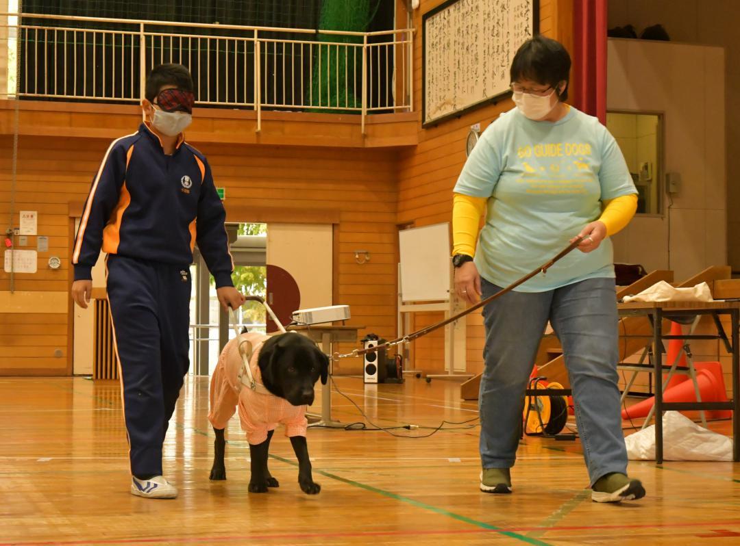 盲導犬の訓練を受けるフィン号と歩行体験をする児童（左）＝潮来市日の出
