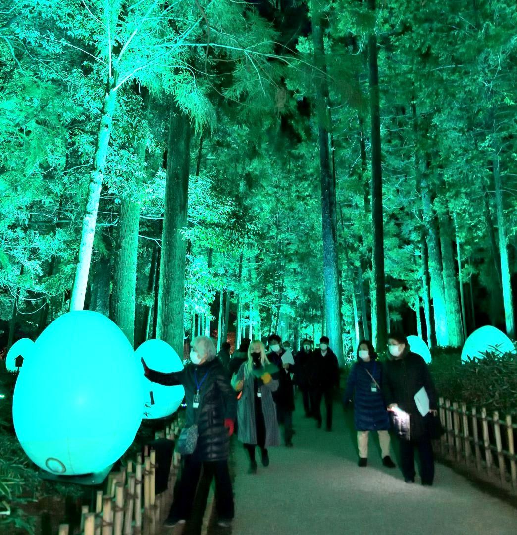 偕楽園で行われたチームラボ「光の祭」の内覧会=水戸市常磐町