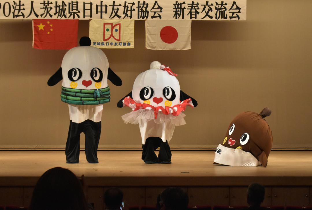 お披露目された新キャラクターの「ぱんだーるくん」(左)と「ぱんだーなちゃん」(中央)=水戸市三の丸

