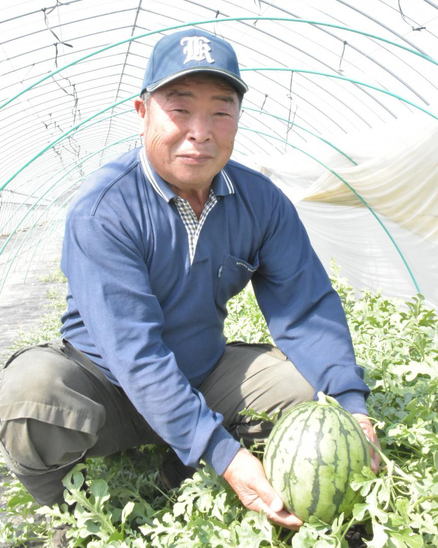 収穫したこだまスイカを見せる栽培農家の飯泉光一さん=筑西市猫島
