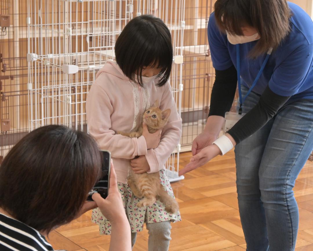 水戸市動物愛護センターに収容されている子猫と触れ合う子ども=同市河和田町
