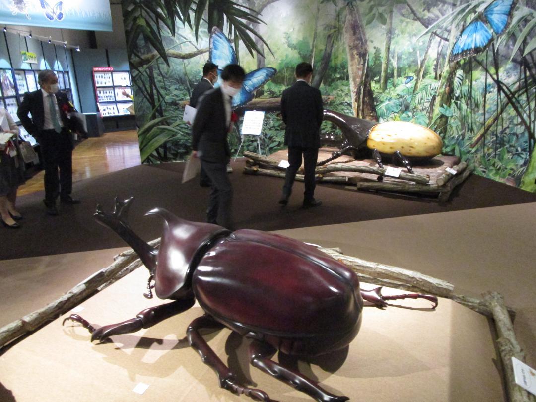 カブトムシの拡大模型などが展示された県自然博物館の企画展「昆虫展」=坂東市大崎
