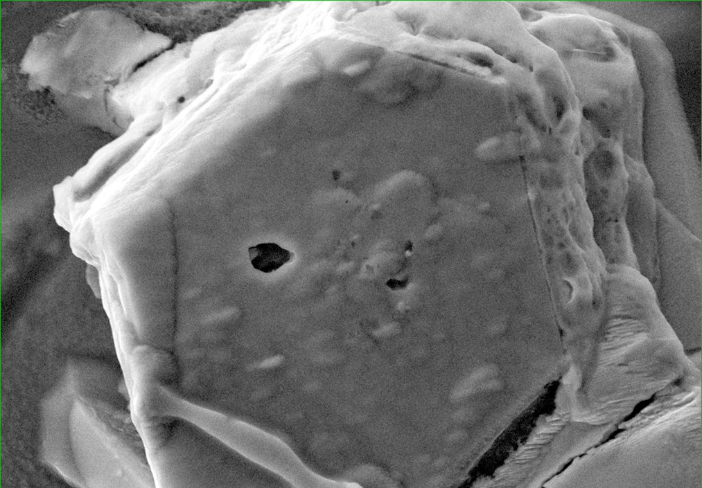 りゅうぐうサンプルから分離された六角形の鉄硫化物の結晶。写真中ほど左の空孔に液体の水が入っていた=©NASA/JSC、東北大学(電子顕微鏡写真)
