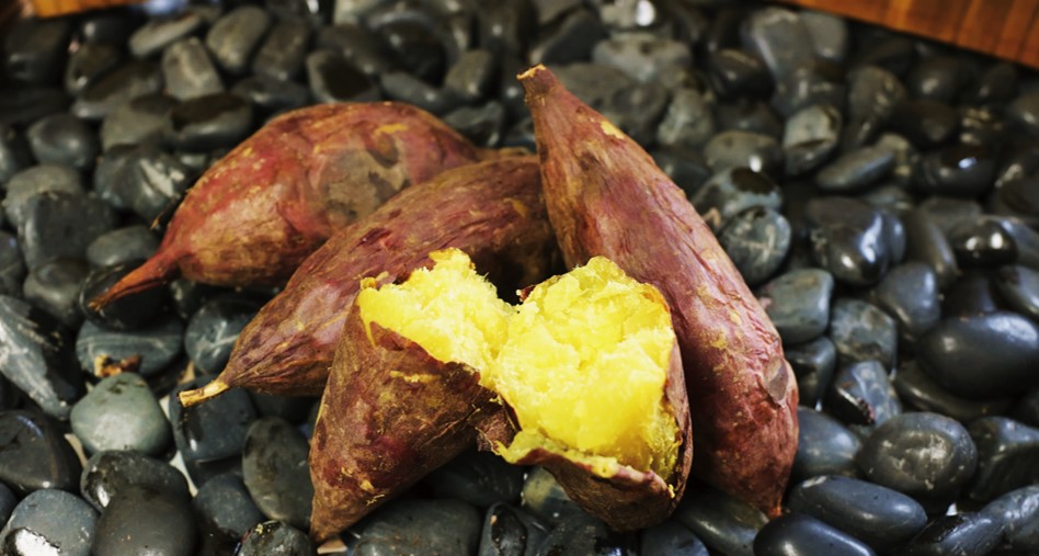 農研機構が開発したサツマイモの新品種「ひめあずま」の焼き芋(農研機構提供)
