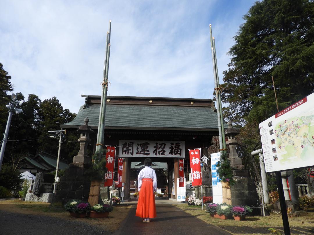 吉田神社に設置された大門松=水戸市宮内町
