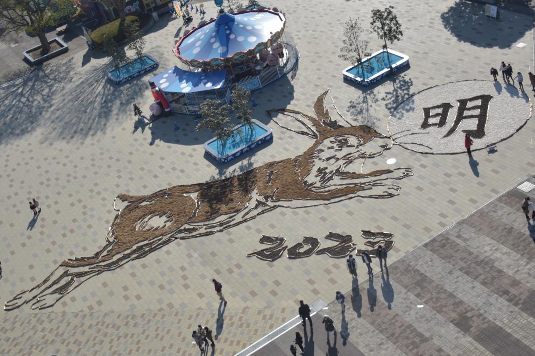 茨城新聞】茨城・ひたち海浜公園 23年のえと ウサギ地上絵