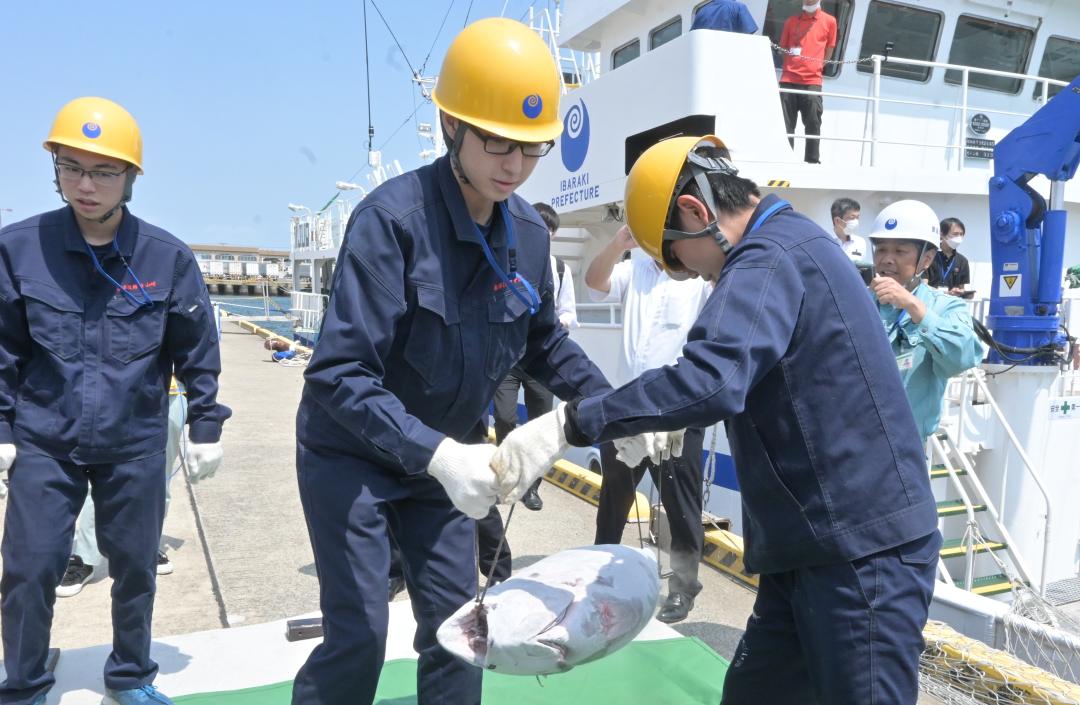 冷凍されたマグロをトラックに運び込む海洋高海洋技術科の生徒たち=大洗町港中央の大洗港区第4埠頭