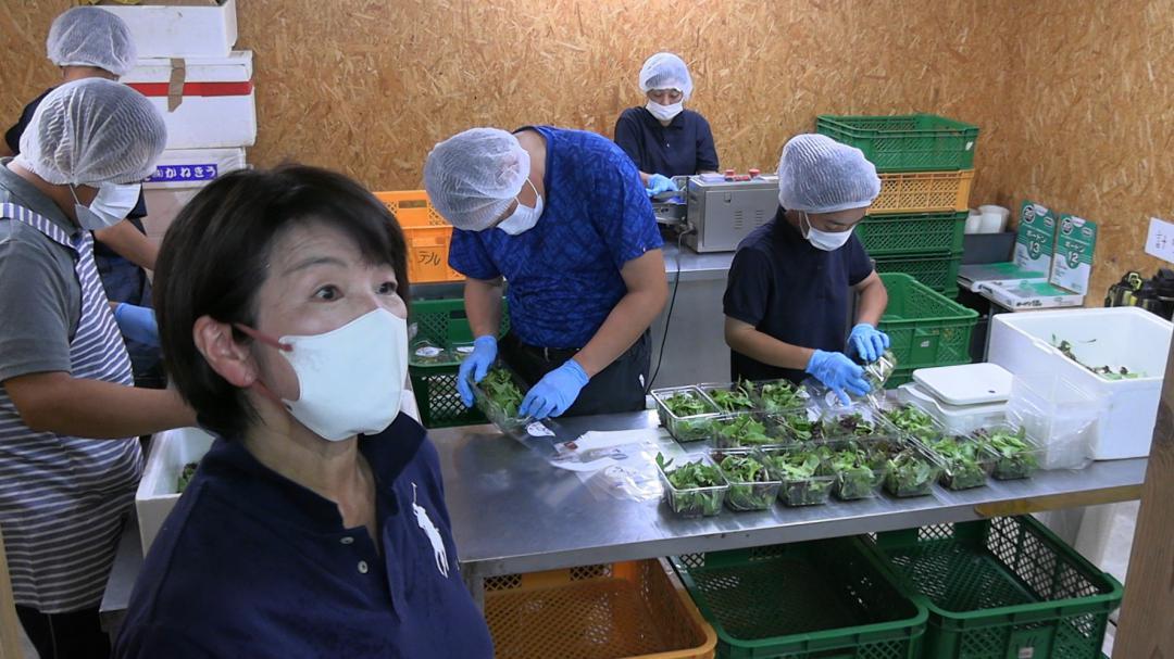 野菜の「パック詰め」作業時の指導方法が紹介された農福連携の体験会=水戸市元石川町
