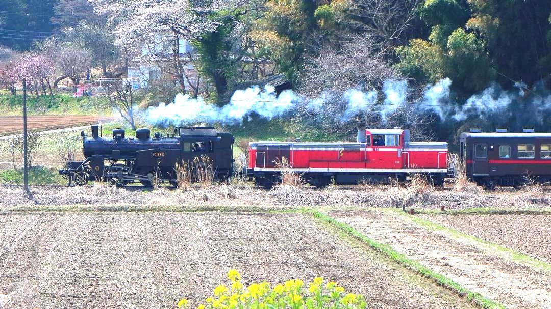 SLとDLの重連運転(真岡鉄道提供)
