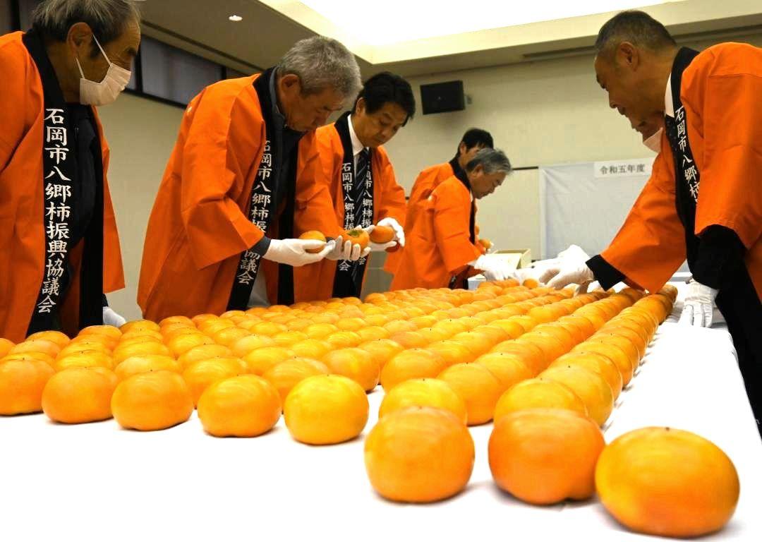 皇室献上柿の審査に当たる谷島洋司市長(左から3人目)ら=石岡市柿岡
