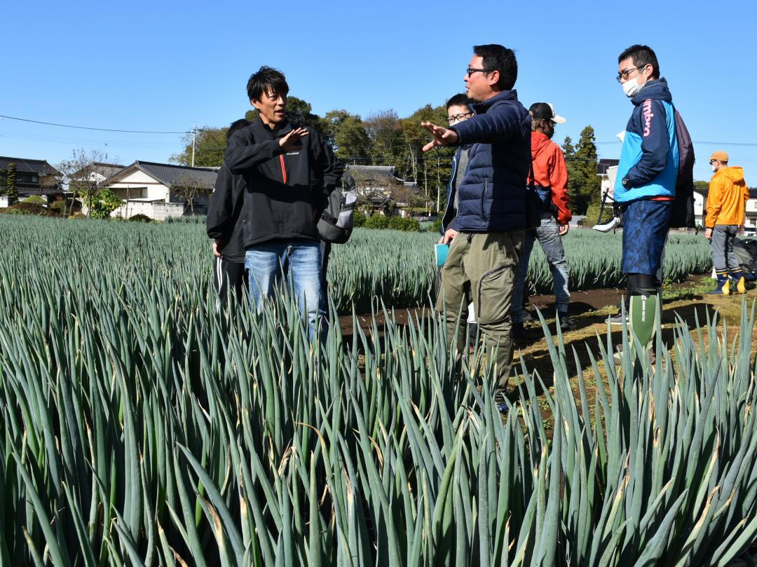 飯塚康司さん(左)からネギの栽培方法などを学ぶ参加者=坂東市内
