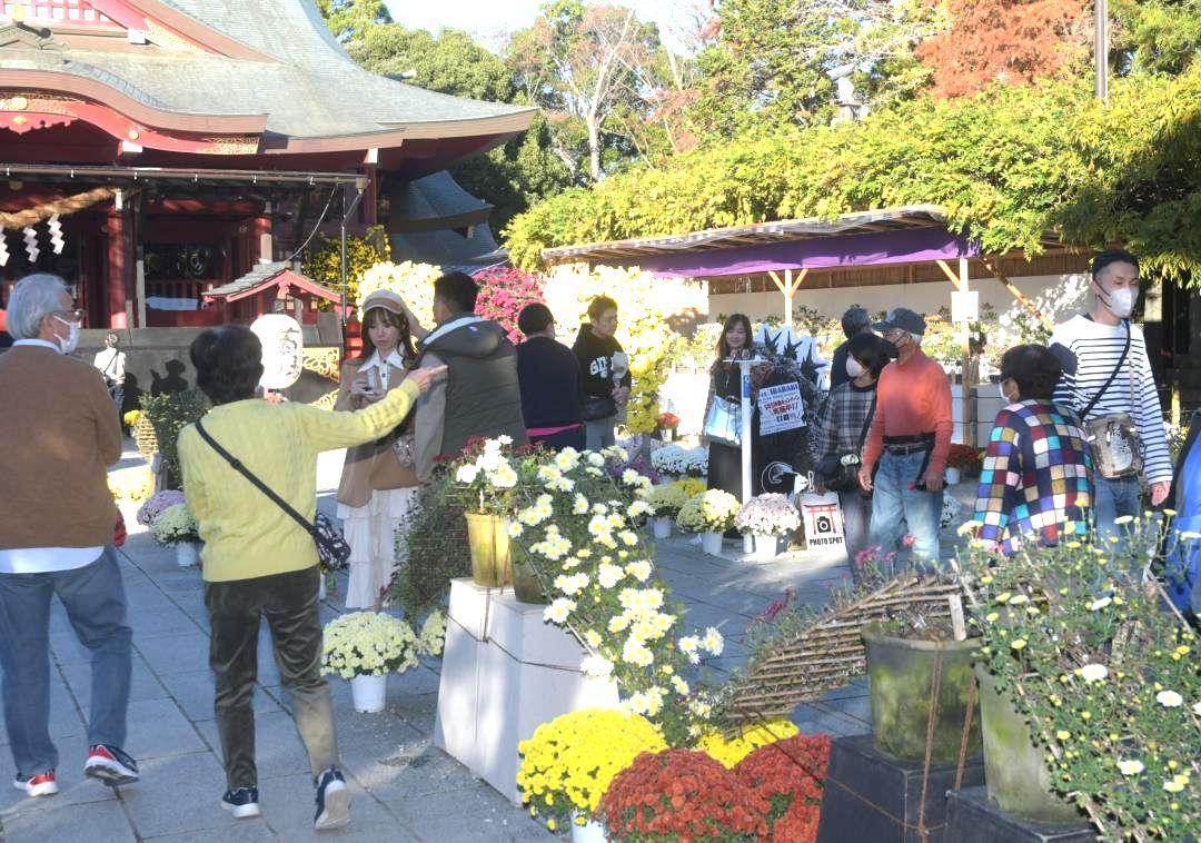 茨城DCと連動した笠間菊まつりには、平日でも多くの観光客が訪れる=14日、笠間市の笠間稲荷神社
