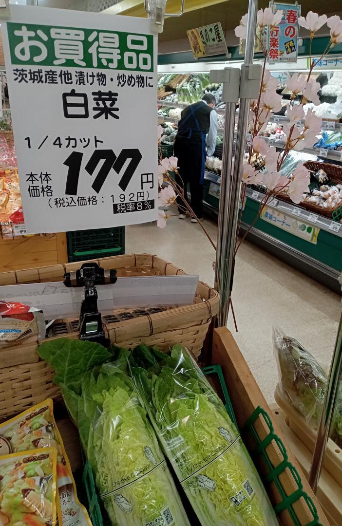 食品スーパーに陳列されたハクサイ=那珂市飯田
